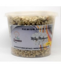 Thanvi Premium Grain Spawn Milky Mushroom (Seeds) 350 grams